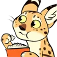 shenPopcorn
