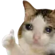 stockThumbsup