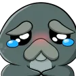 braryCry