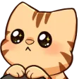 mariatPls