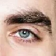 seqReye