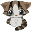 truckerMeow