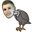 bigspinGeier