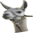 whiteySusi