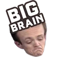 rlcsBigBrain