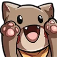hxyWoo