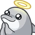 dolphinPray