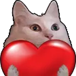 ml7Heart