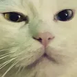 ml7Grr