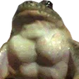 pokeSUBS
