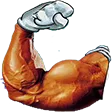 coneyFLEX coneyFLEX