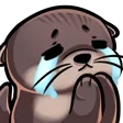 otzPls