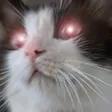 alextrollTornillo2 alextrollTornillo2
