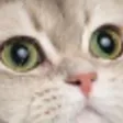 snupyHUH