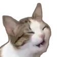 lennicNasty