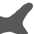 pace22Sharktail