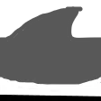 pace22Sharkbody