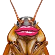 elix9Roach elix9Roach