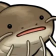 dukFeesh