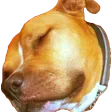 hasSleepy