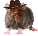 postifyouwantban