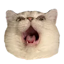 DiegoScream