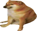 Bonk