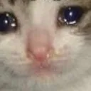 DL_catcry Discord Emoji