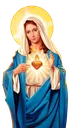 immaculateheartofmary