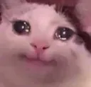 sobcat sobcat