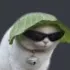 leafkitty leafkitty