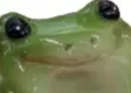 forg