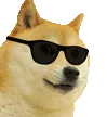 doge
