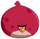 Terence Terence