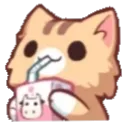 Catsip catsip Discord Emoji