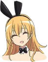 NCBunny