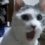 WOW Discord emoji