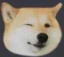 winkdoge