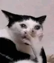 gasp
