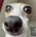 blinky_bloopy blinky_bloopy