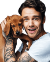 c13_liam_puppy Discord emoji