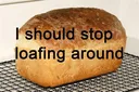 ishouldstoploafingaround ishouldstoploafingaround