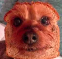 BreadDog BreadDog
