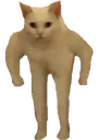 catstronk