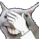 weshfacepalm weshfacepalm