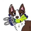 angr_squek