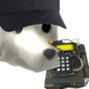 WhiteDogC4