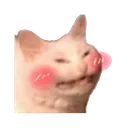 jijiji