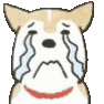 Dog Cry dogcry Discord Emoji