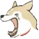 DogScream